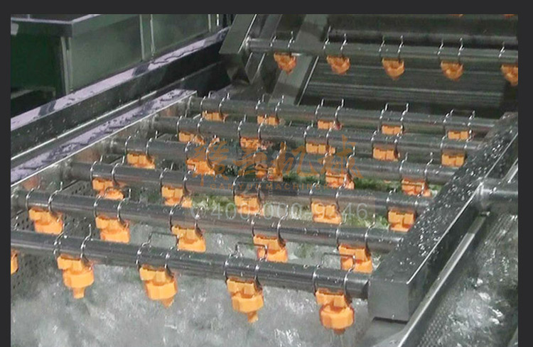 商用全自動(dòng)氣泡清洗機(jī) 果蔬凈菜加工設(shè)備流水線(圖21)