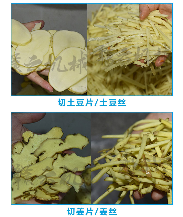 海南廣西鮮筍切絲機(jī)自動離心定向生姜切切片絲機(jī)(圖6)