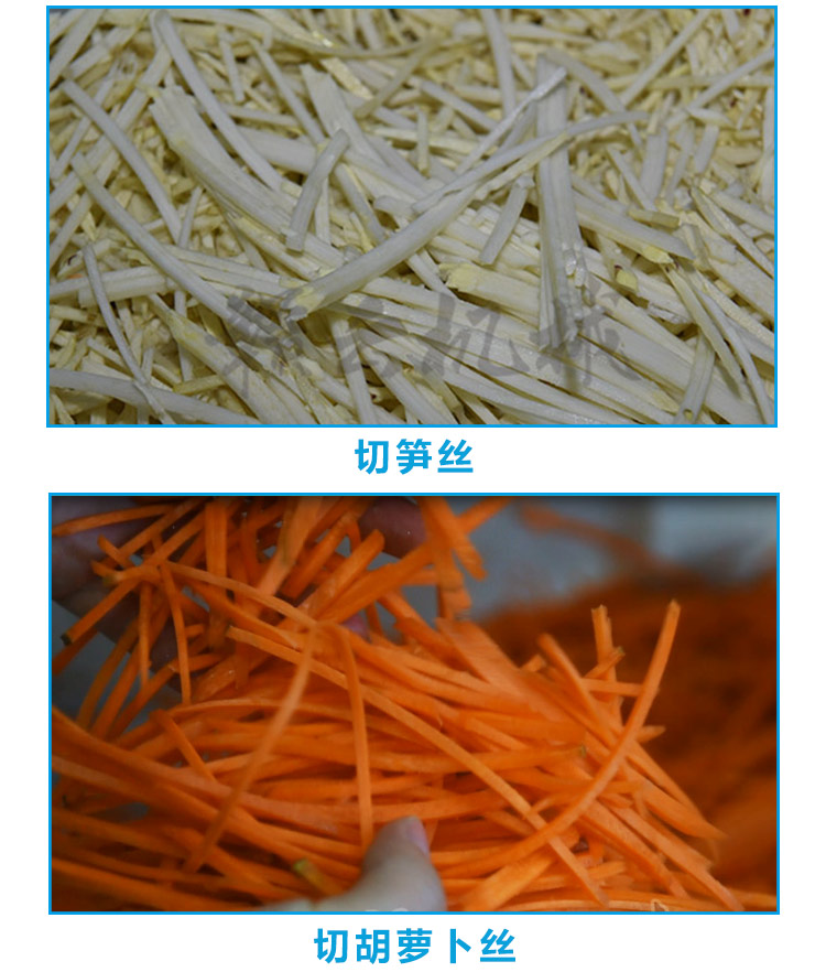 海南廣西鮮筍切絲機(jī)自動離心定向生姜切切片絲機(jī)(圖5)