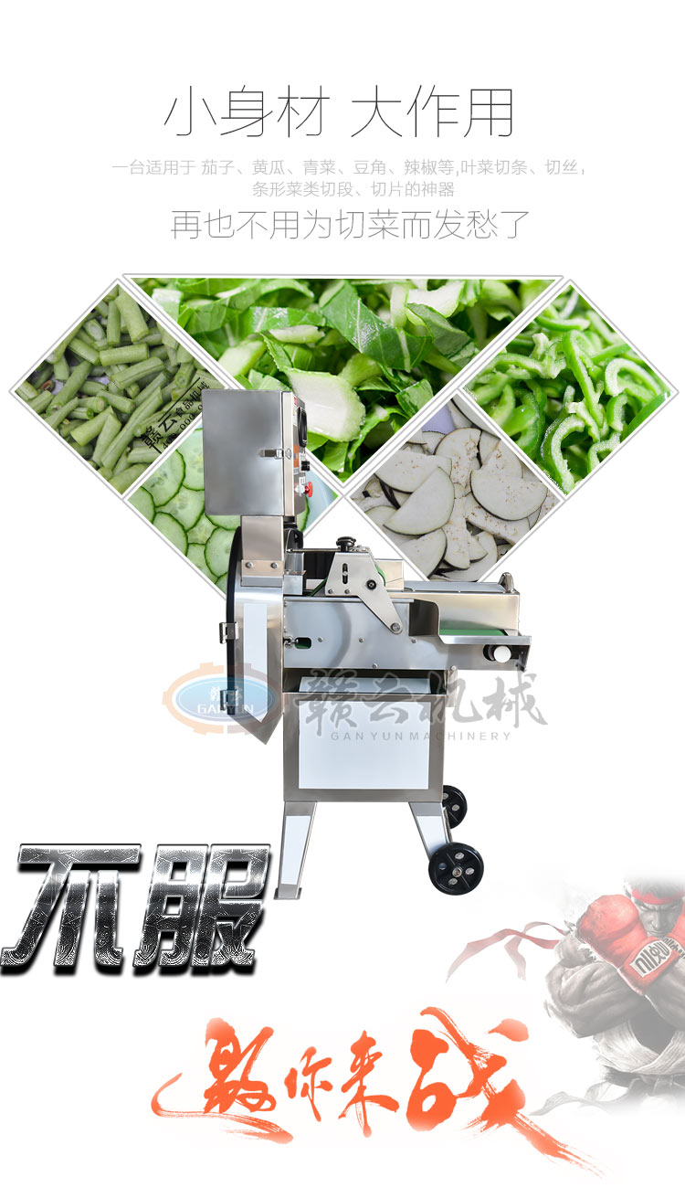 125D單頭數(shù)字變頻切菜機(jī)，多功能切菜機(jī)(圖3)
