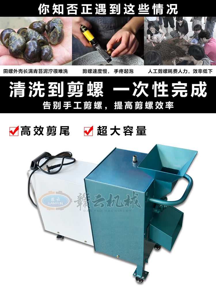 田螺剪尾機的機器生產(chǎn)廠家，田螺去尾的設備圖片價格(圖3)